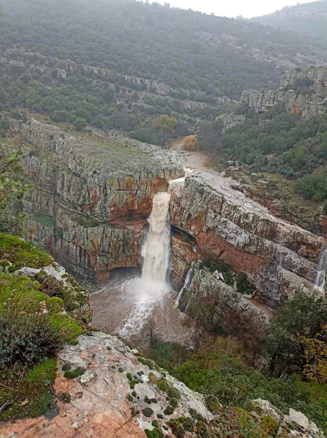 Casa Rural Batalla Navas De Tolosa, Despenaperros Санта-Элена Экстерьер фото
